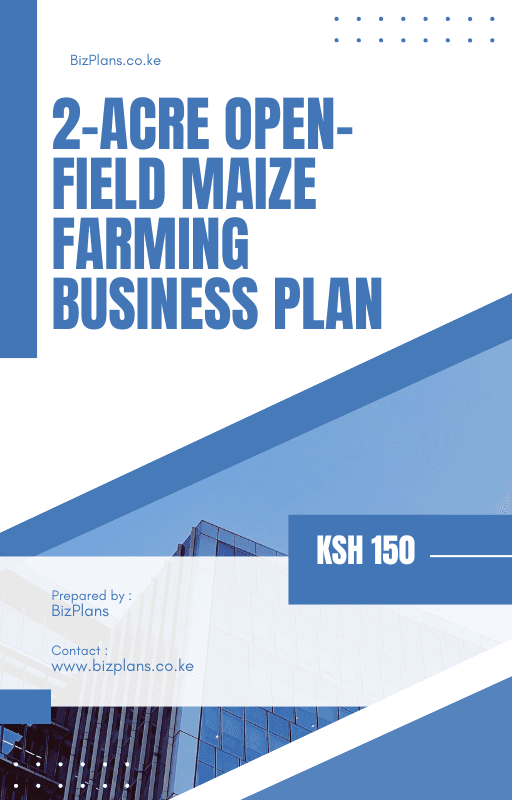 2-Acre Open-Field Maize Farming Business Plan
